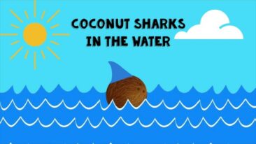 Coconut Sharks In The Water